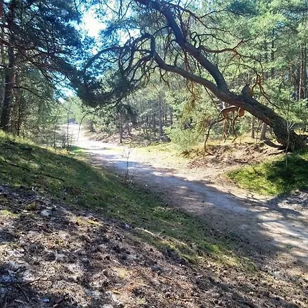Pokoje Pod Klonami Rum i privatbostad