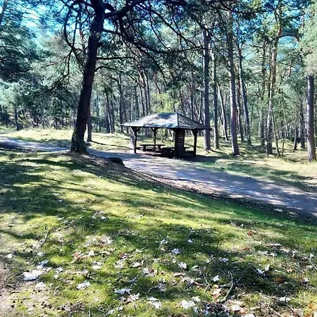 Homestay Pokoje Pod Klonami Gdansk